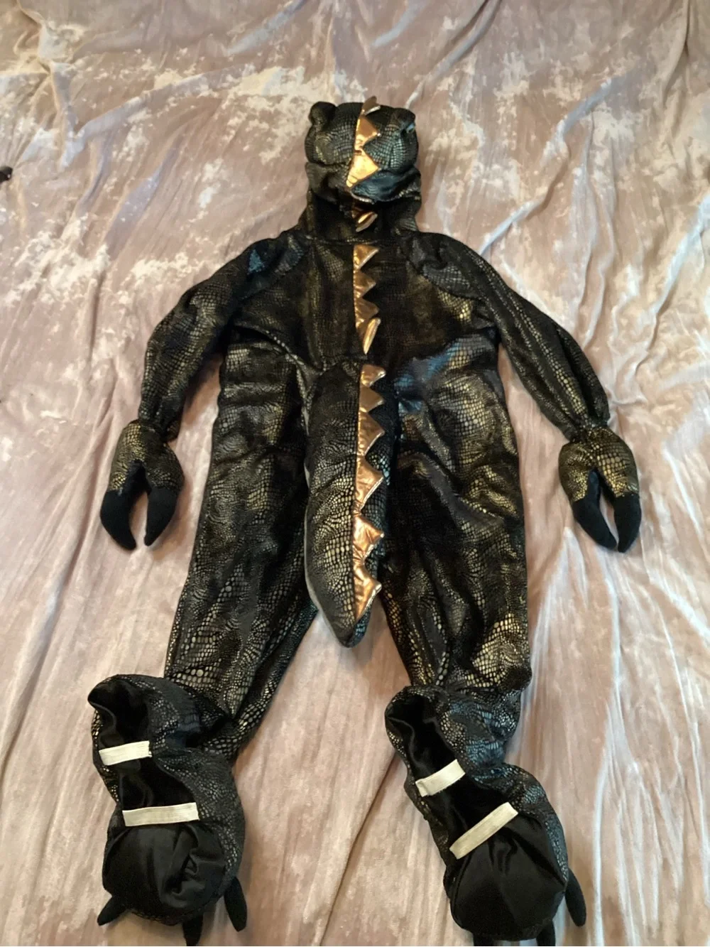 Ministry of Rascals playful black